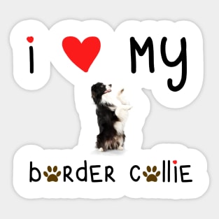 I Love My Border Collie Sticker